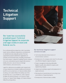 Technical Litigation Support thumbnail