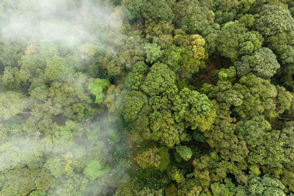 Greenhouse (GHG) gas and carbon management to help your organization achieve net zero emissions.